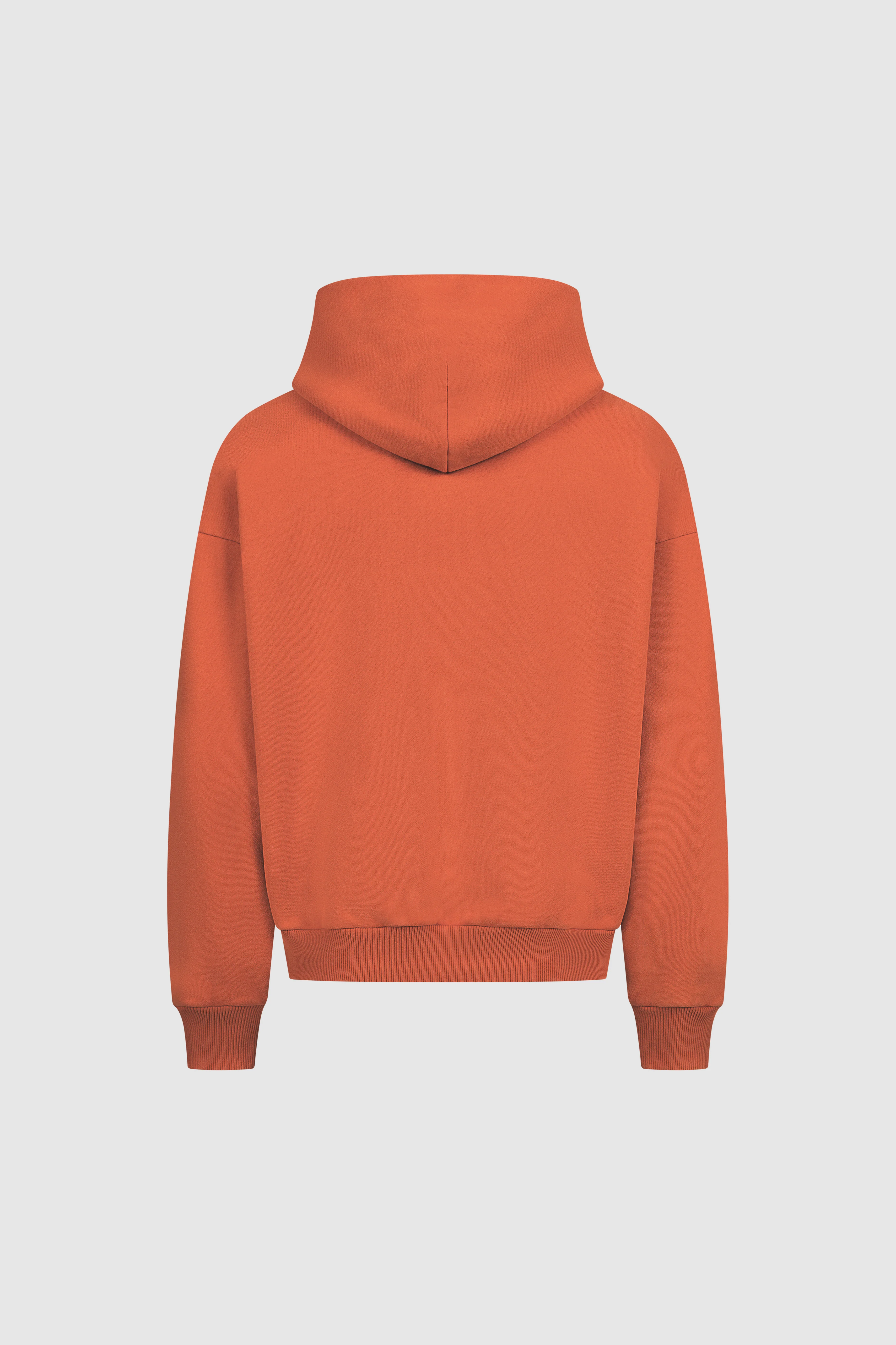Cactus Hoodie - Image 9