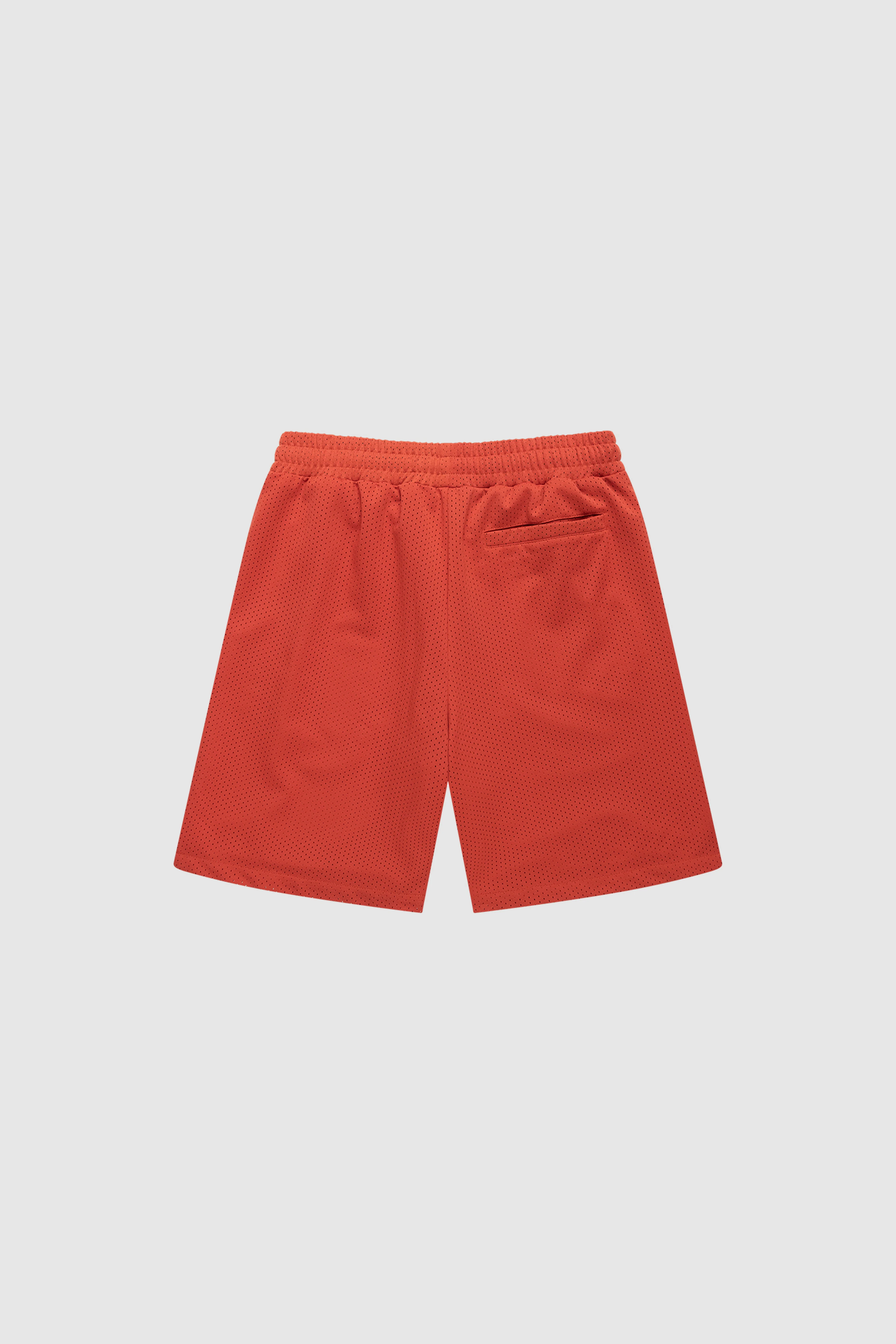 Cactus Mesh Shorts - Image 9