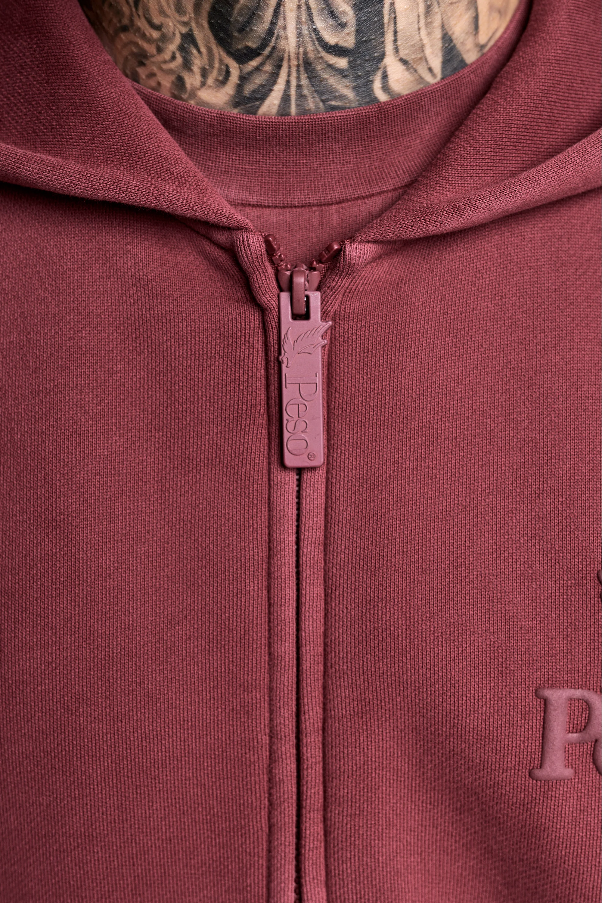 Logo Raws Zip - Image 7